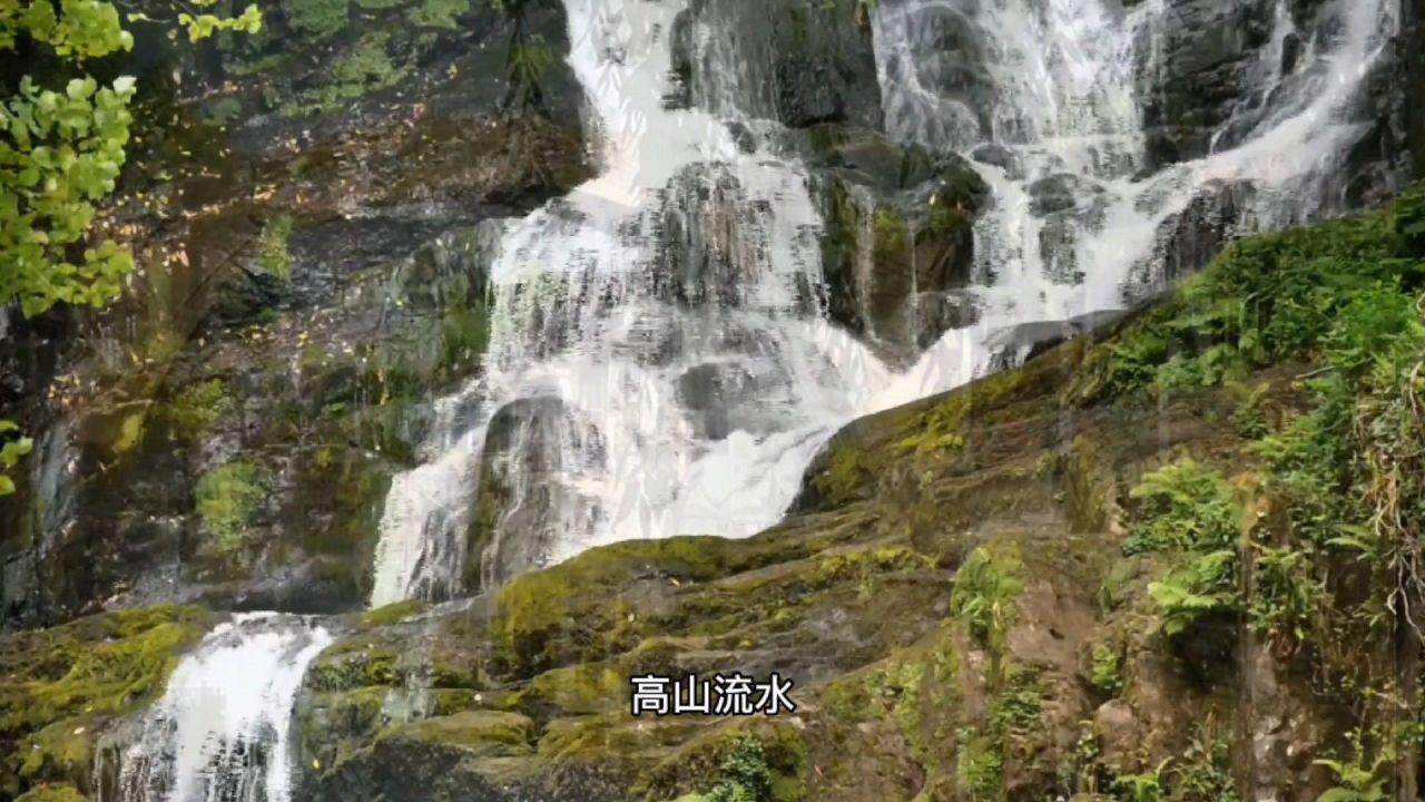 红木国标之外,备受瞩目的六种名贵木材,材质究竟怎么样?