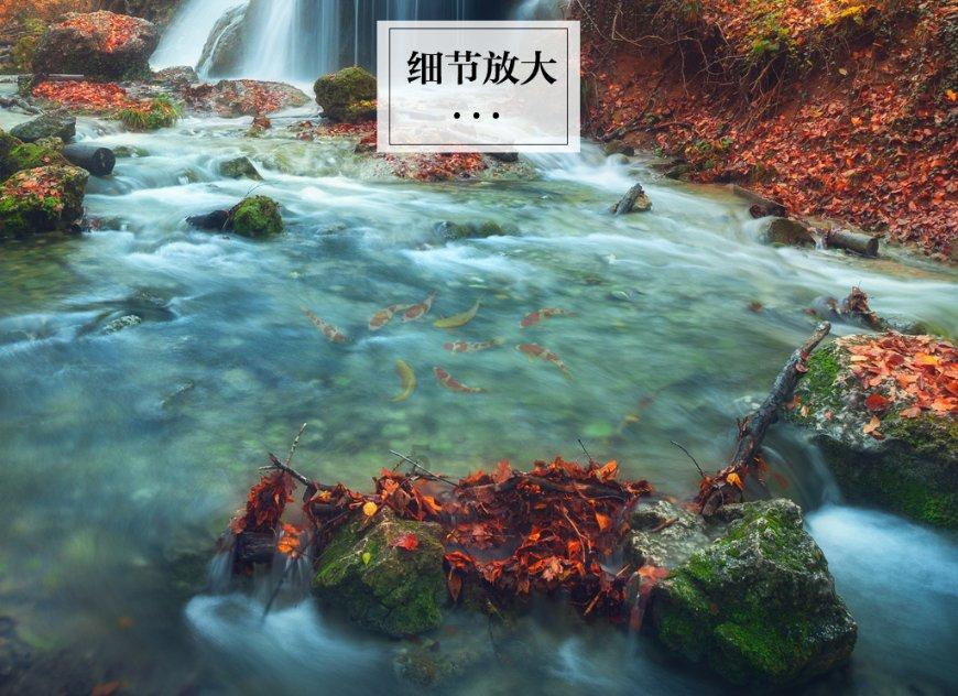 夏季的雨